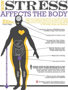 How Stress Affects The Body