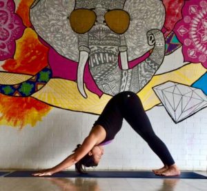 Getting Down with Downward Dog: Yoga - Arts & Culture