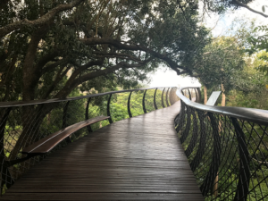 Nature bridge